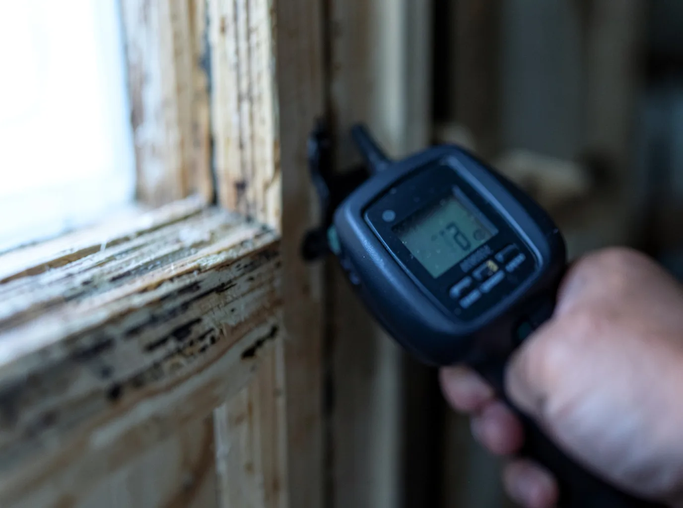 Moisture Inspection And Documentation in Barstow, TX